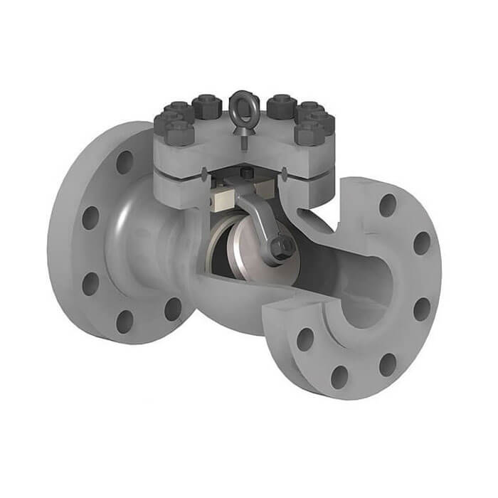 Swing Check Valves